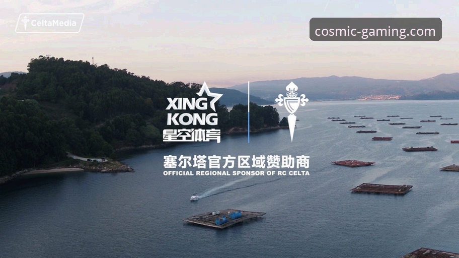 老用户亲测：2026新版星空体育官方服务使用心得，这些细节值得关注