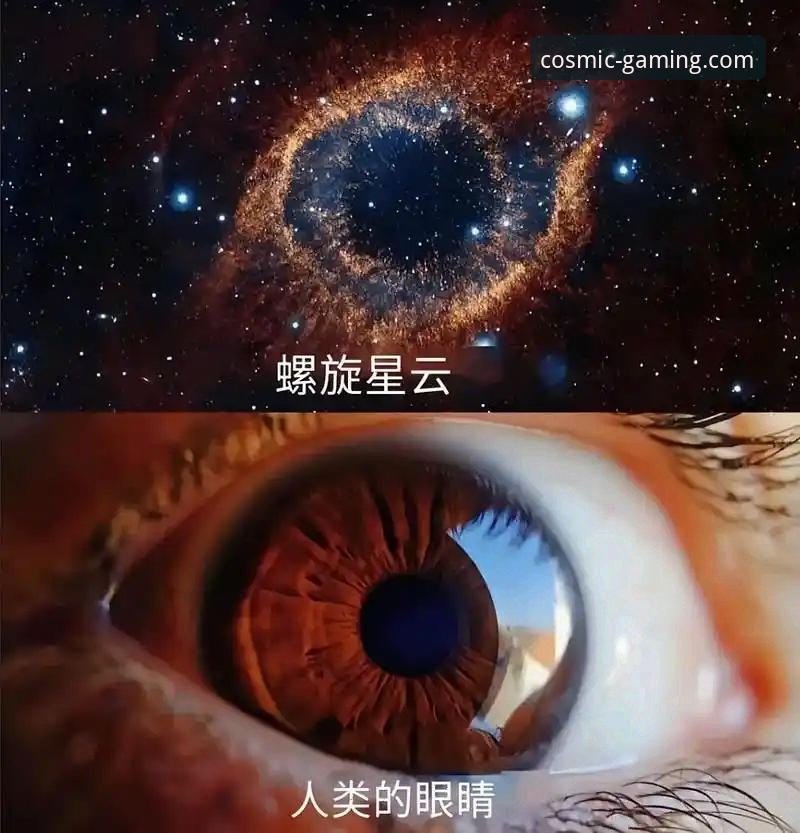 星空体育无缝接入使用技巧 星空体育无缝接入使用技巧全面评测:新手也能快速上手的实用指南